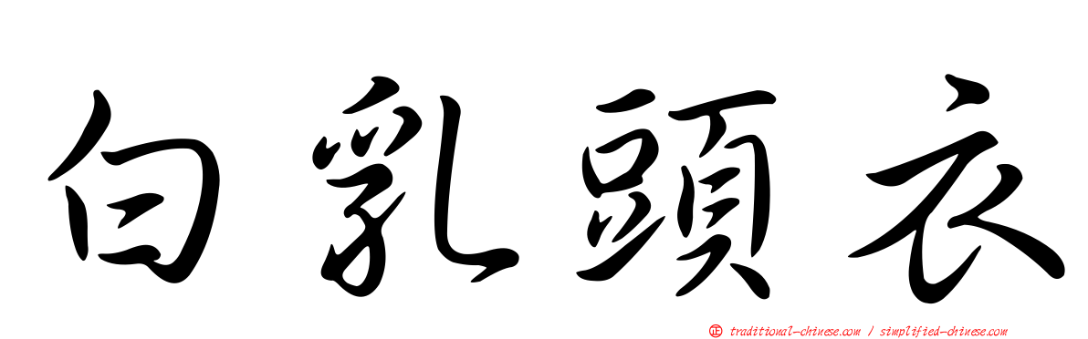 白乳頭衣