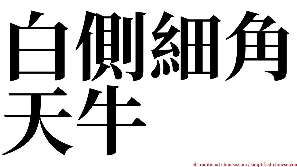 白側細角天牛 serif font