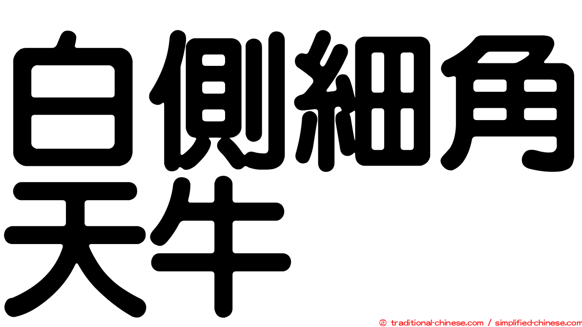 白側細角天牛