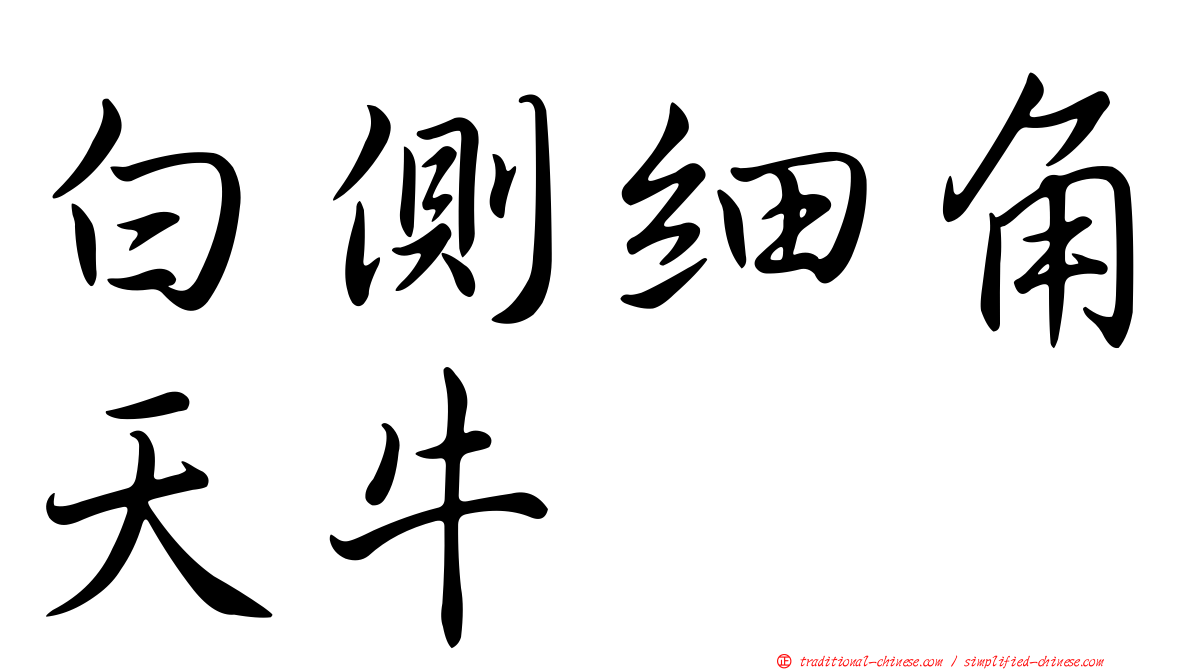 白側細角天牛