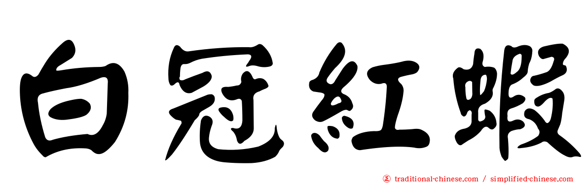白冠紅蝦