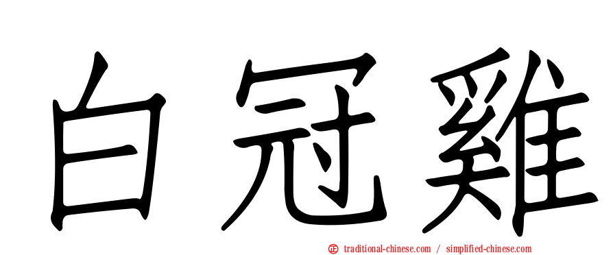 白冠雞