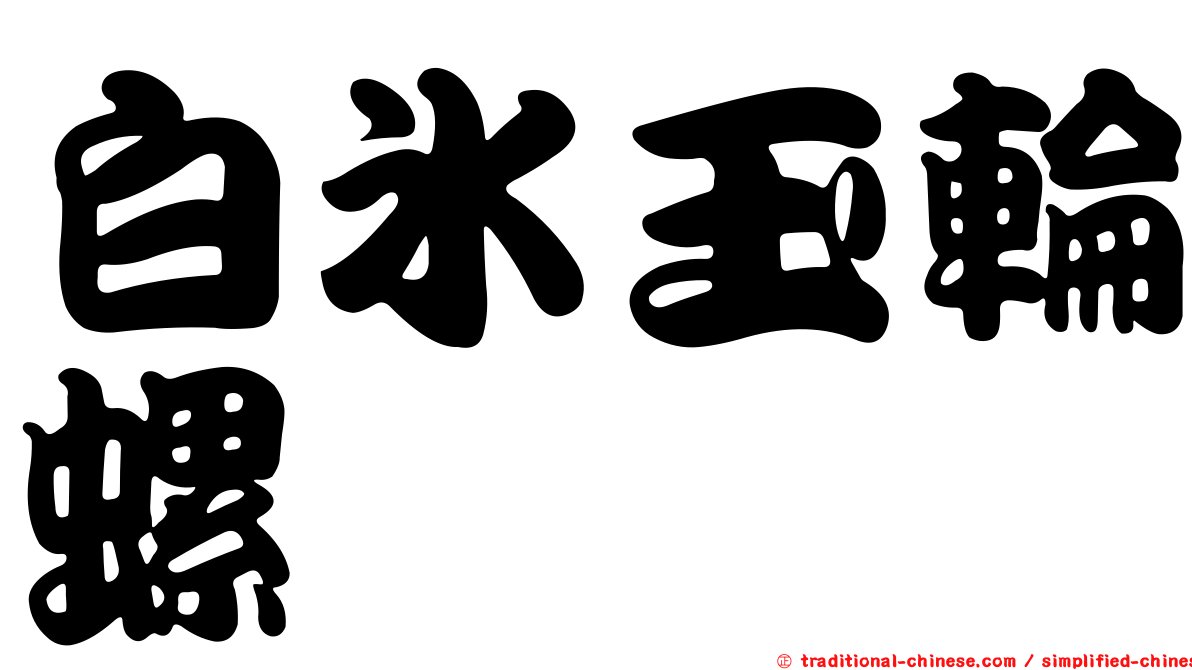 白冰玉輪螺