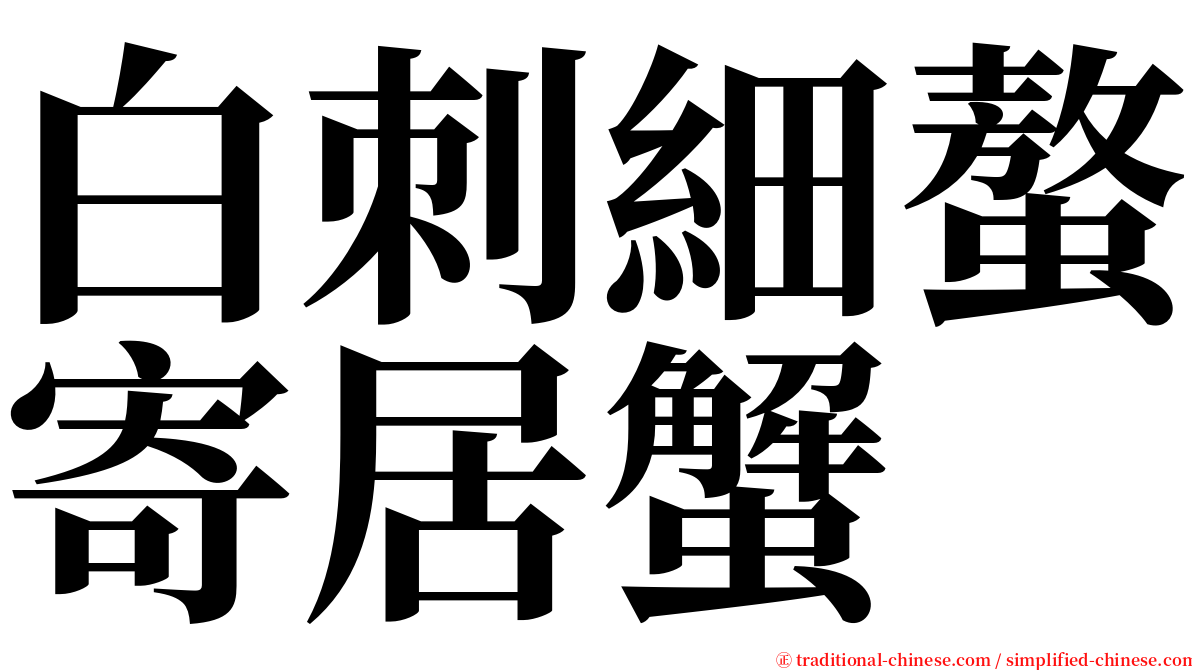 白刺細螯寄居蟹 serif font