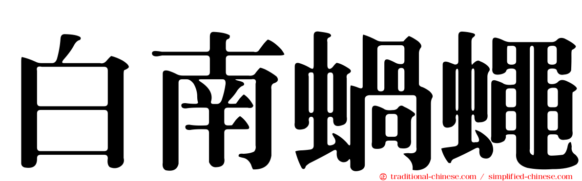 白南蝸蠅