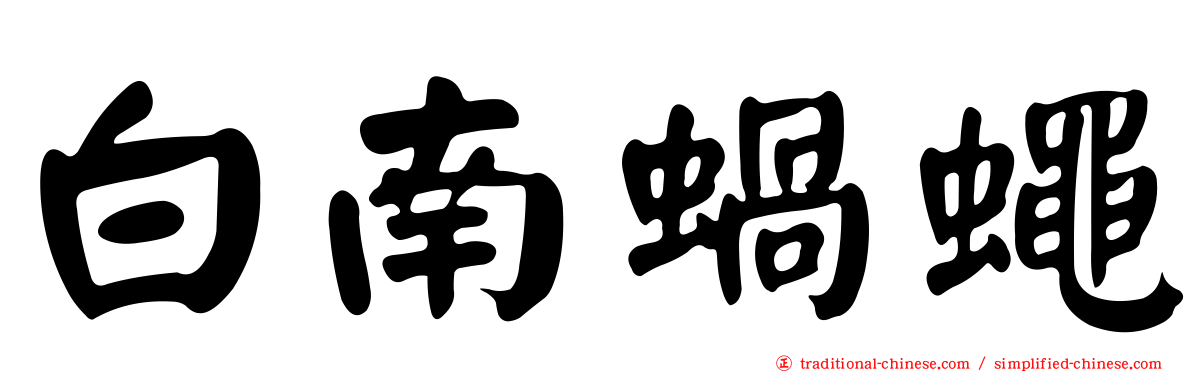 白南蝸蠅