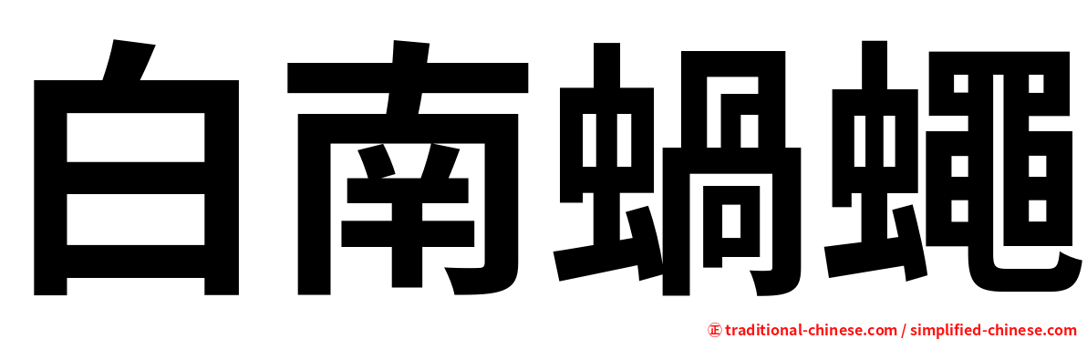 白南蝸蠅