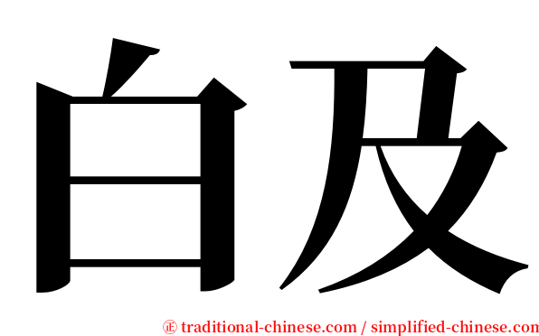 白及 serif font