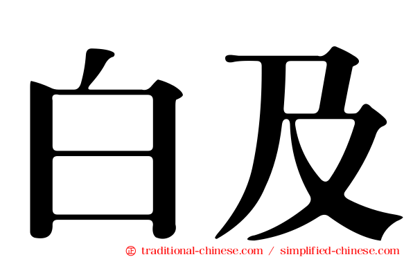 白及