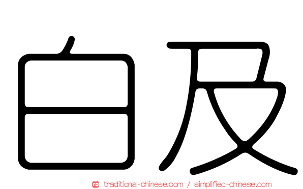 白及