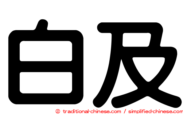 白及