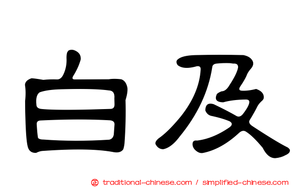 白及
