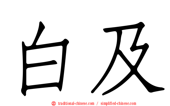 白及
