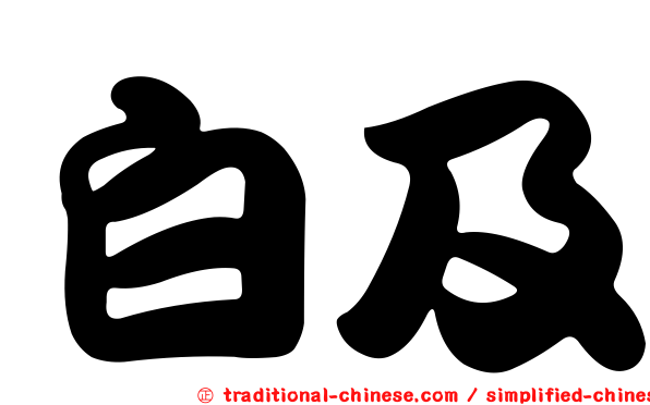 白及