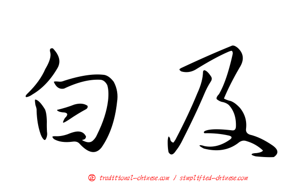 白及