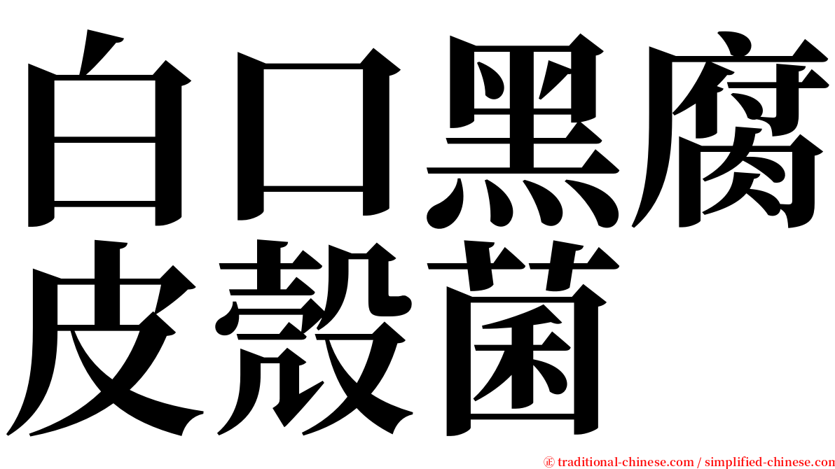 白口黑腐皮殼菌 serif font