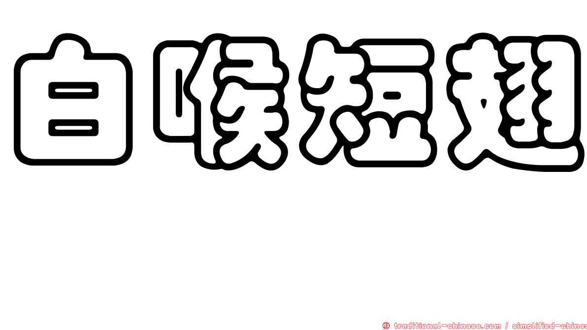 白喉短翅鶇