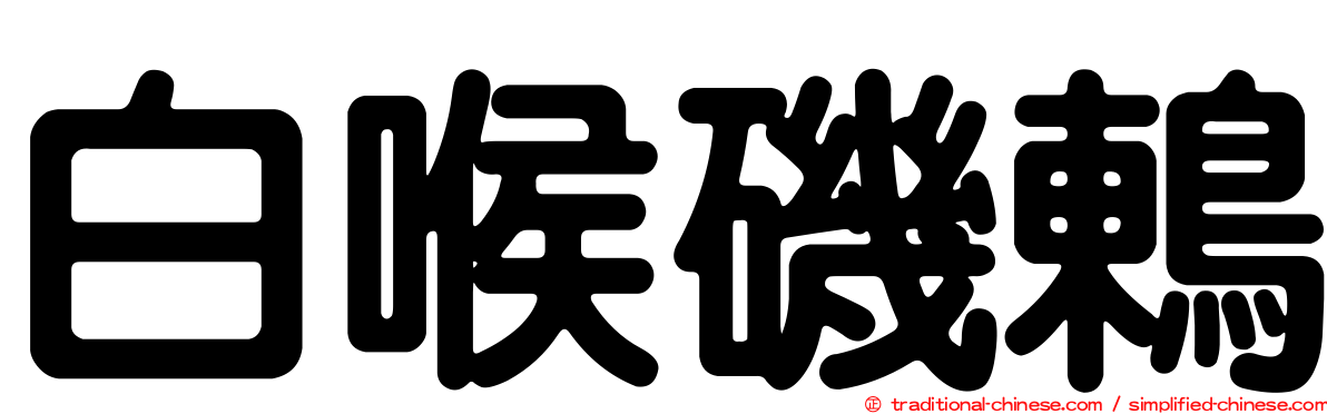 白喉磯鶇