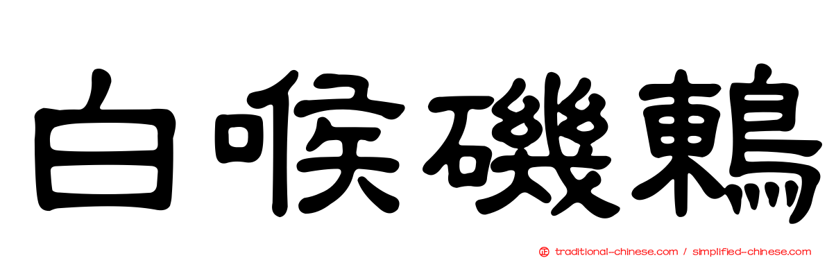 白喉磯鶇