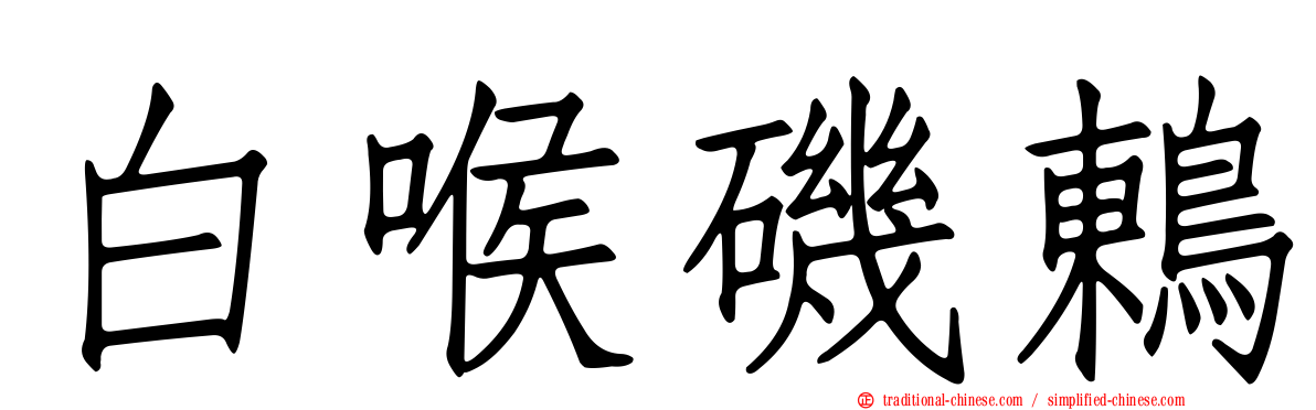 白喉磯鶇