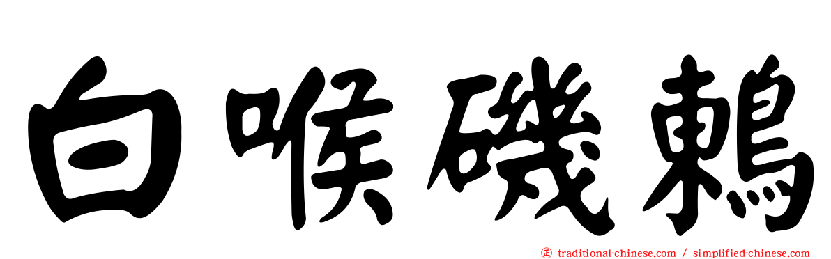 白喉磯鶇