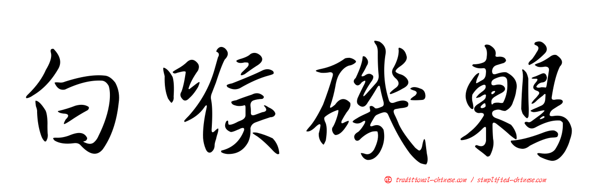 白喉磯鶇