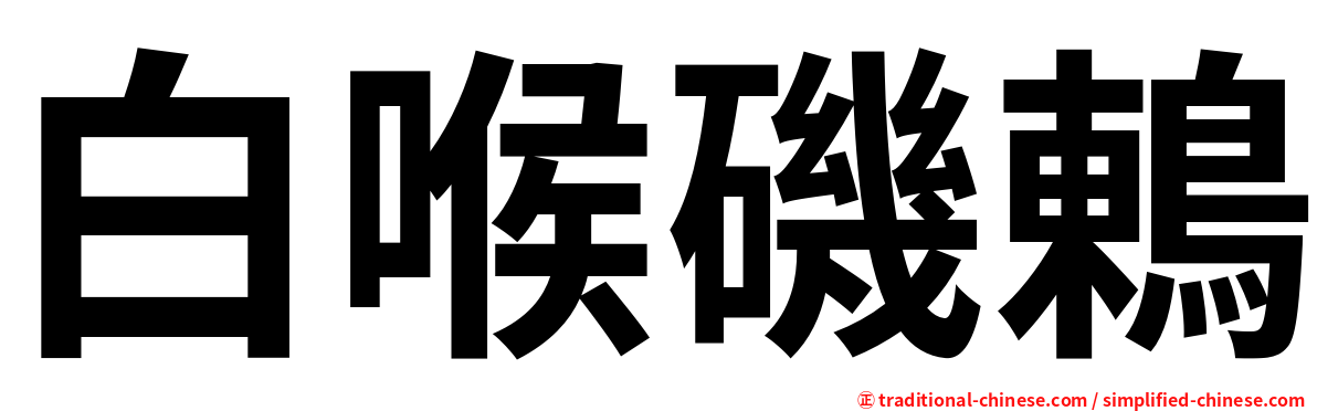 白喉磯鶇