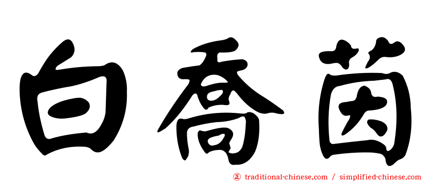 白喬茵