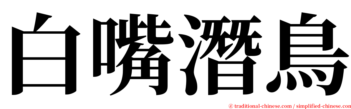 白嘴潛鳥 serif font