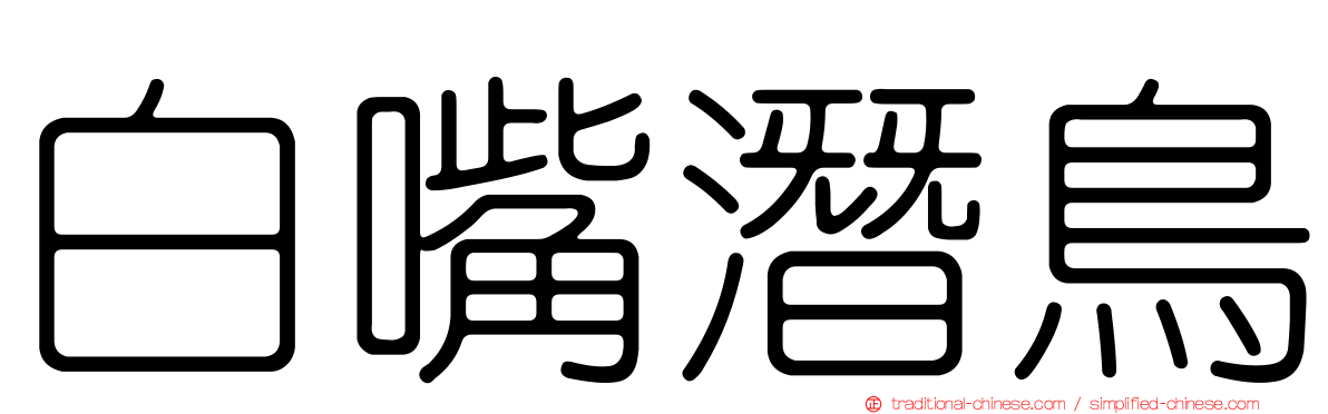 白嘴潛鳥