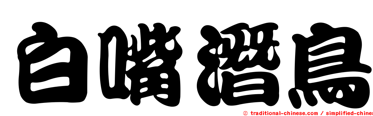 白嘴潛鳥