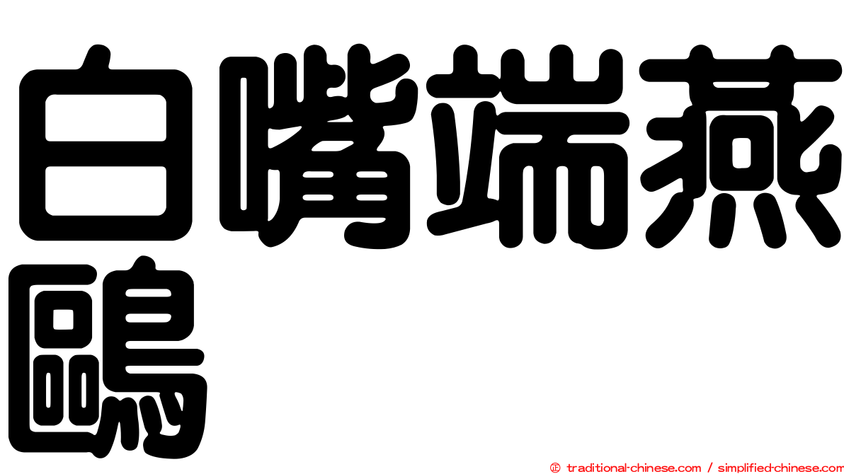 白嘴端燕鷗
