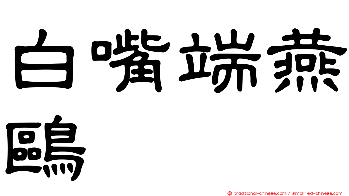 白嘴端燕鷗