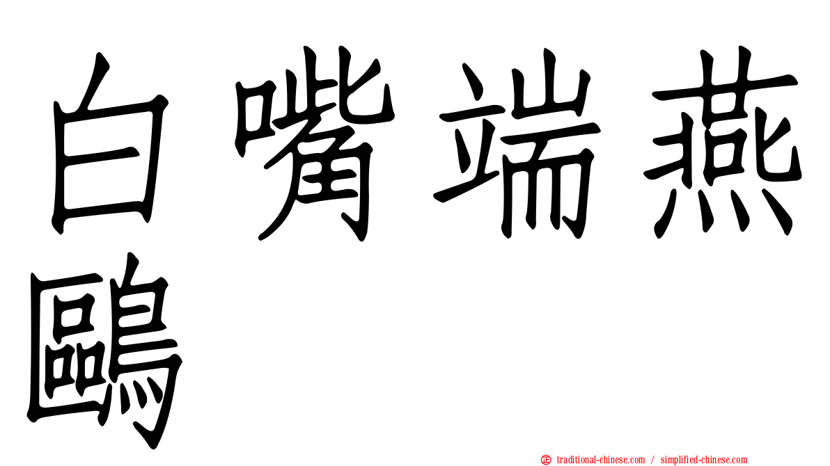 白嘴端燕鷗