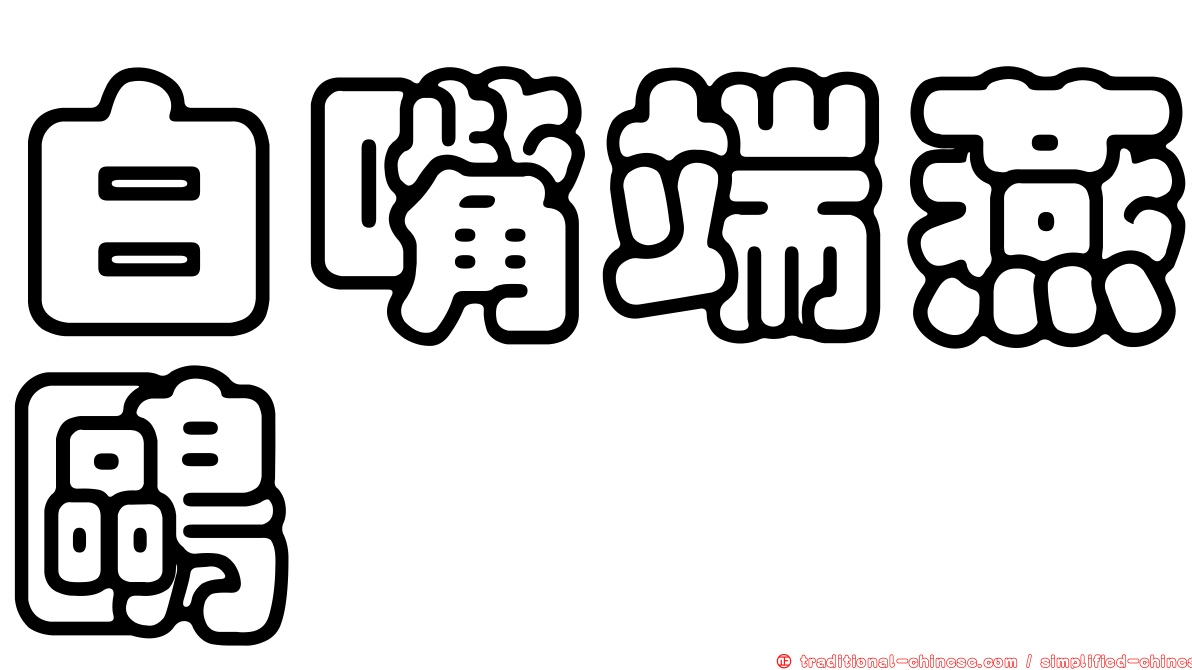 白嘴端燕鷗