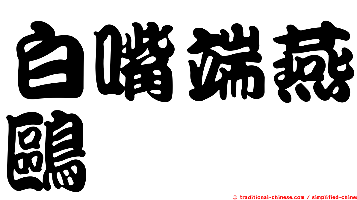 白嘴端燕鷗