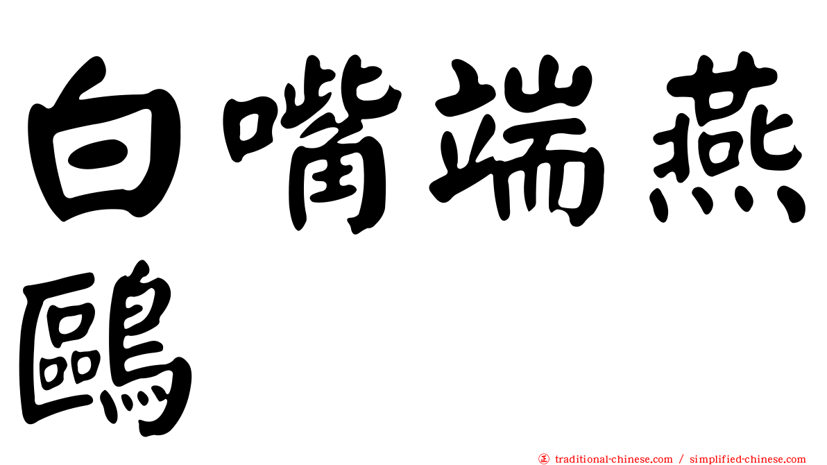 白嘴端燕鷗