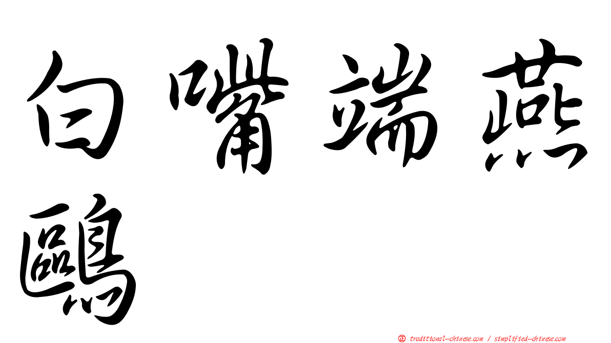 白嘴端燕鷗