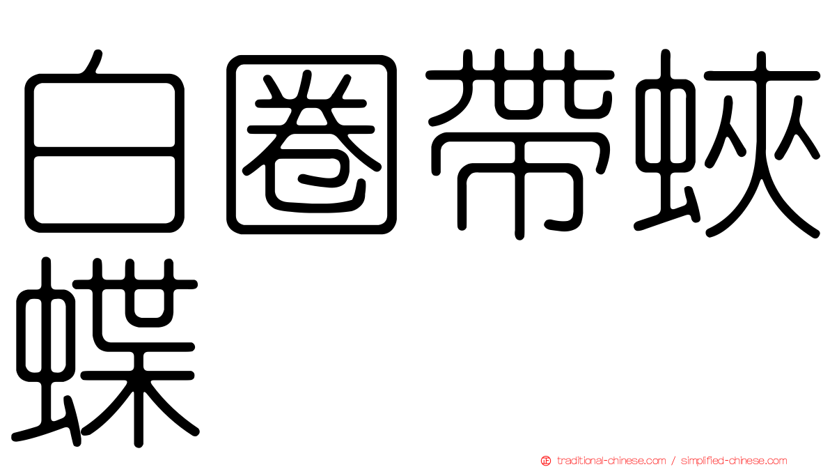白圈帶蛺蝶