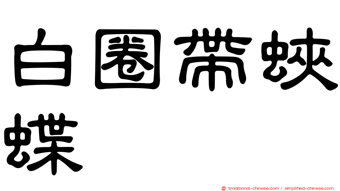 白圈帶蛺蝶