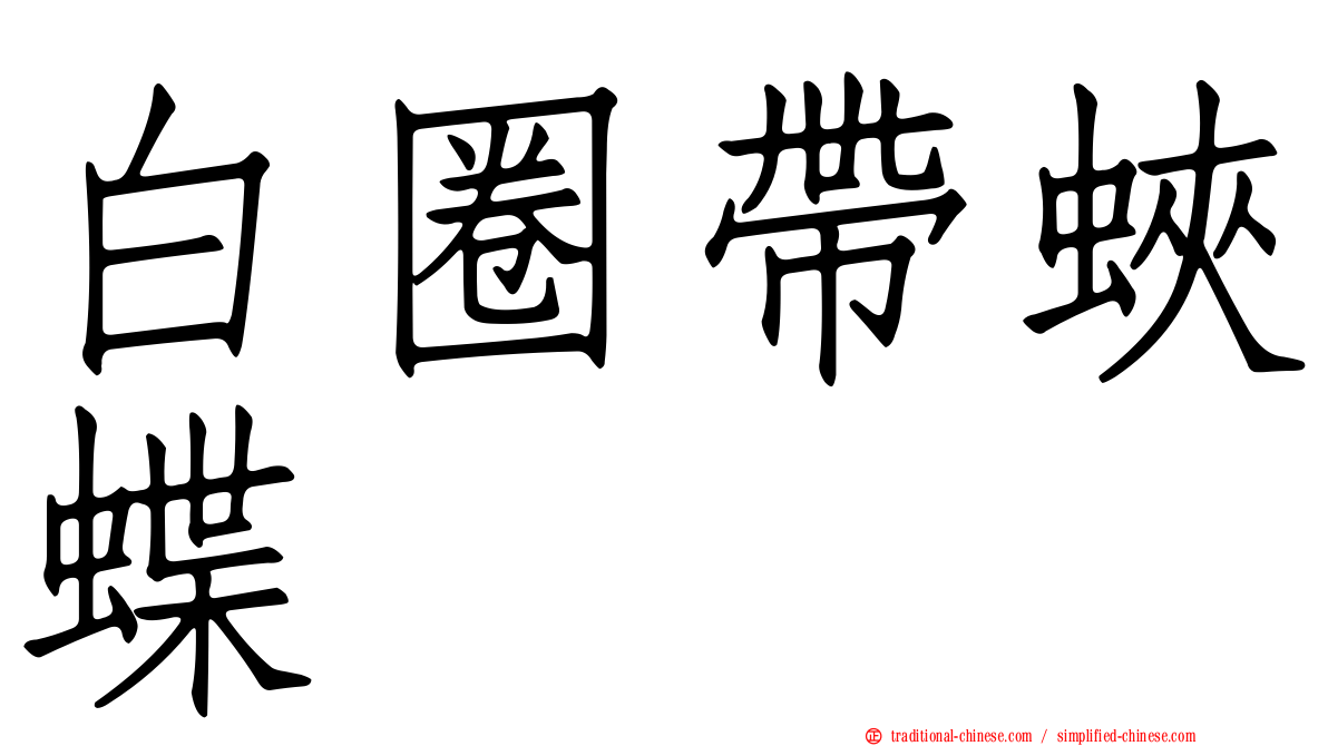 白圈帶蛺蝶