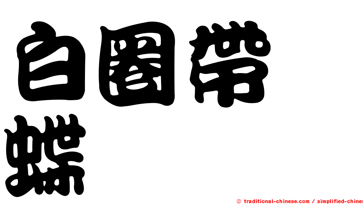 白圈帶蛺蝶