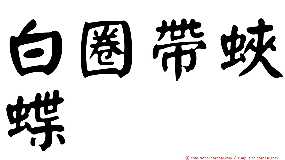白圈帶蛺蝶