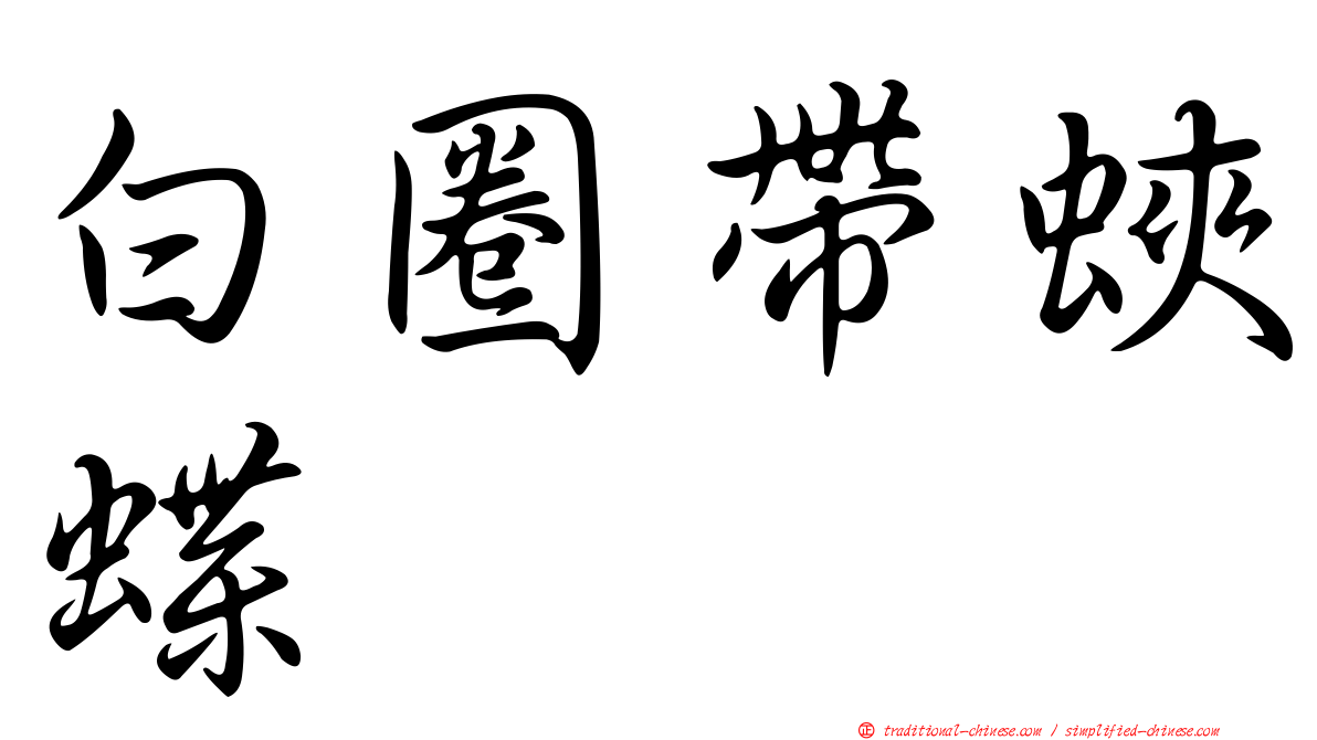 白圈帶蛺蝶