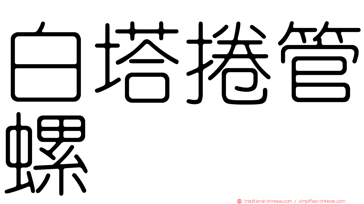 白塔捲管螺