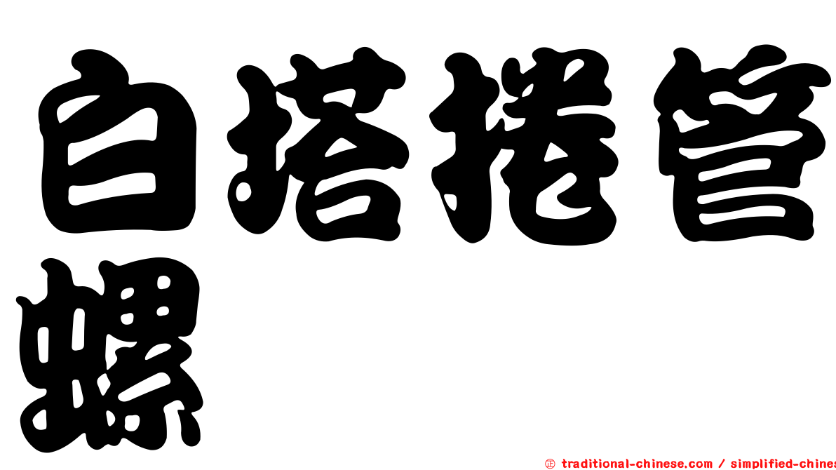 白塔捲管螺