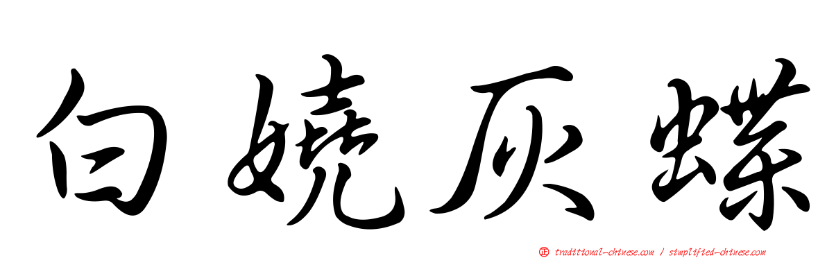 白嬈灰蝶