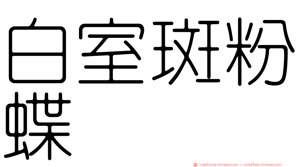 白室斑粉蝶