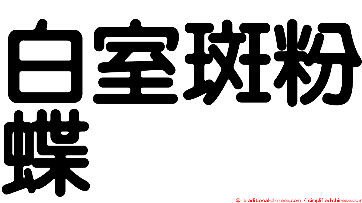 白室斑粉蝶