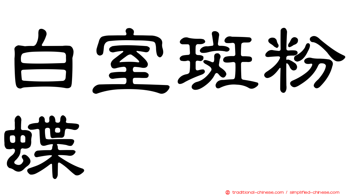 白室斑粉蝶